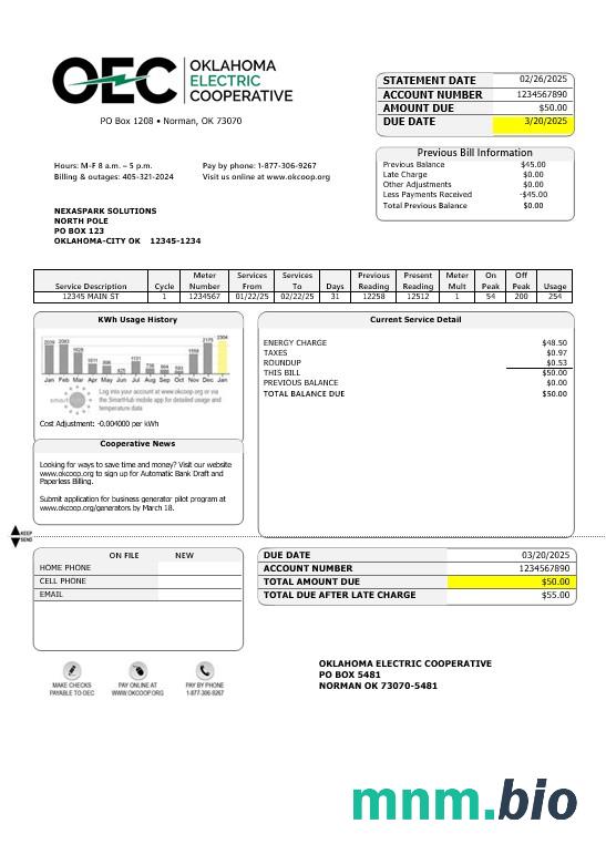 Szablon rachunku za energię elektryczną w USA OEC w formatach Word i PDF